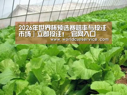 种植基地一