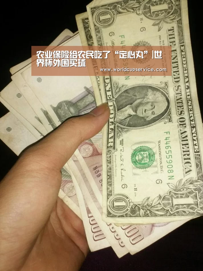 农业保险给农民吃了“定心丸”|世界杯外围买球(图1) 世界杯买球网站
