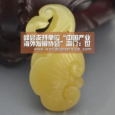 峰会支持单位“中国产业海外发展协会”简介:世界杯投注(图4) 世界杯投注