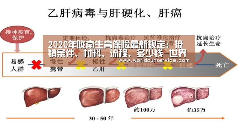 2020年陇南生育保险最新规定:报销条件、材料、流程、多少钱-世界杯买球网站(图1) 2026世界杯
