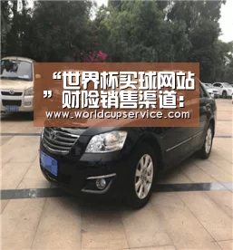 “世界杯买球网站”财险销售渠道:移动端超越第三方平台(图2) 2026世界杯