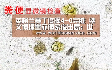 英格兰赛丁俊晖4-0完胜 梁文博擒墨菲傅家俊出局:世界杯外围买球(图2) 世界杯买球网站